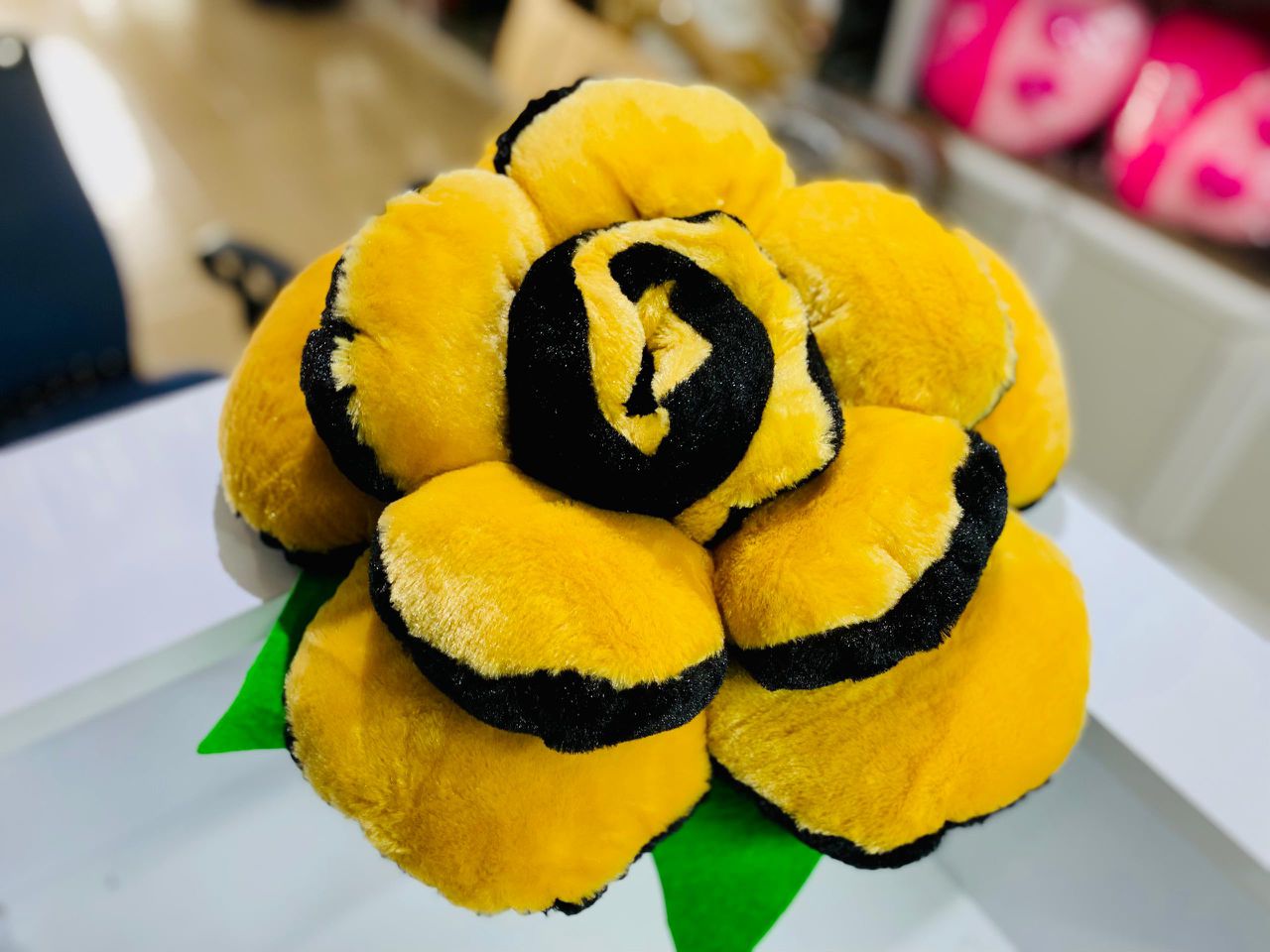 Coussin Décoratif