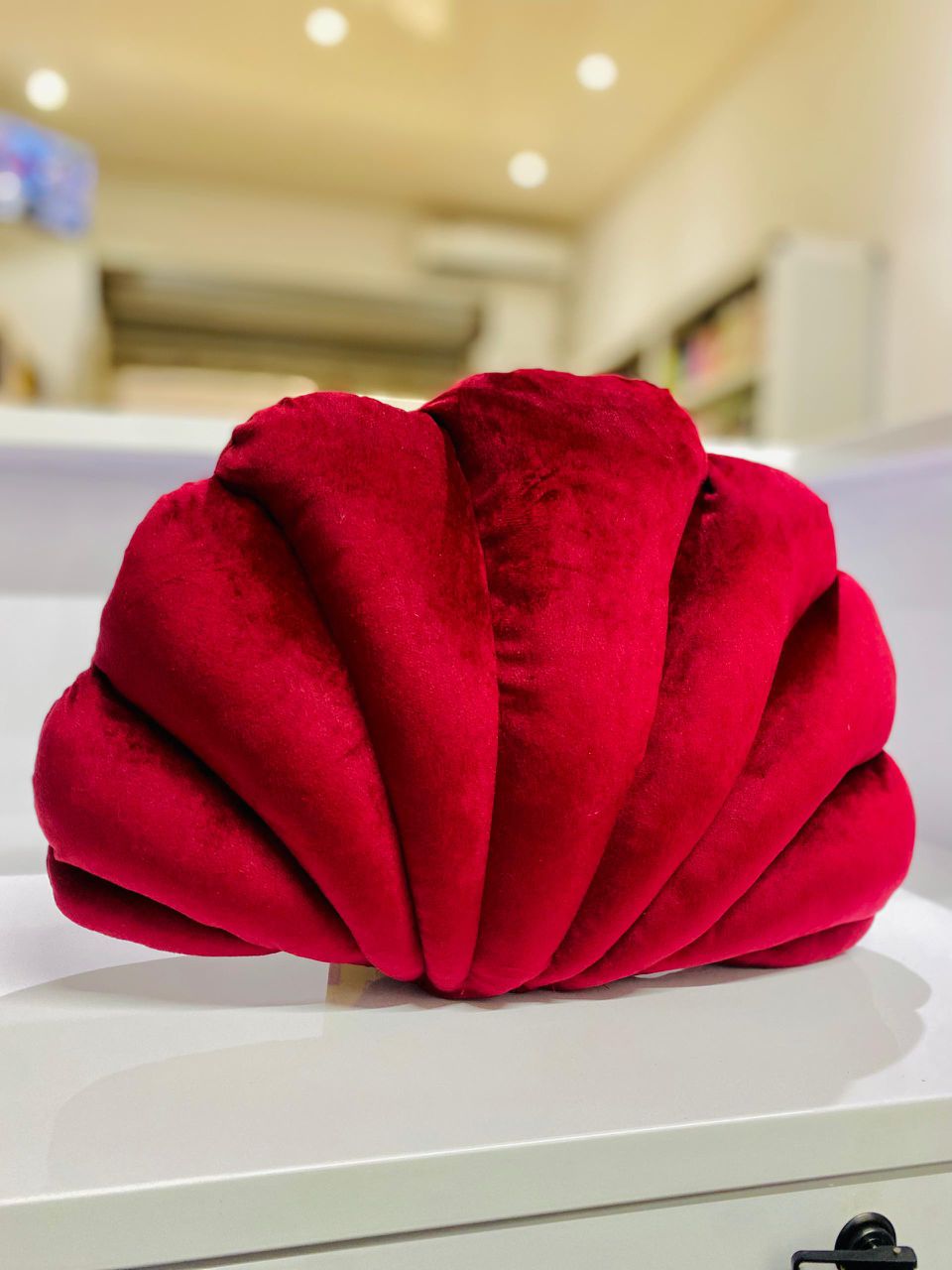 Coussin Décoratif